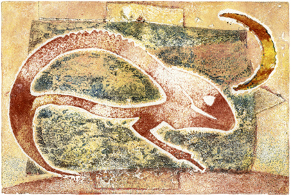 Chameleon Materialdruck