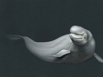 gallery img