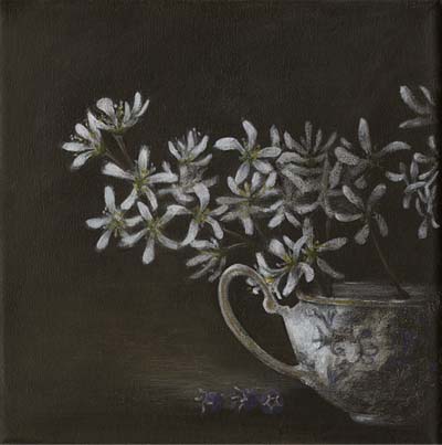 gallery img